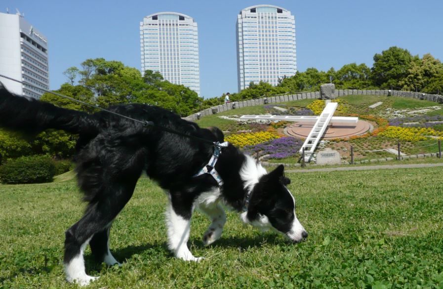 c0147241_11021829.jpg