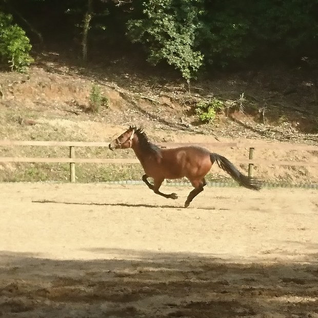リンダ~🏇_e0145441_20420083.jpg