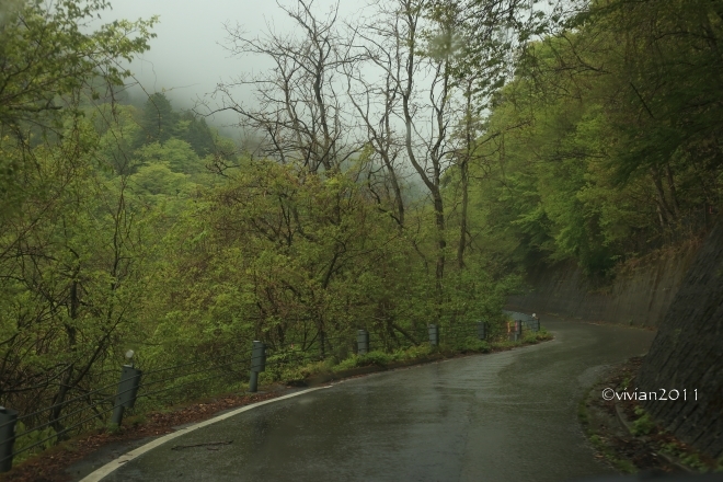日光 湯西川水の郷 ~源泉かけ流しの美肌の湯~_e0227942_22230049.jpg
