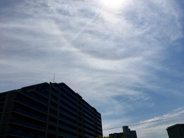 環水平アークにハロ。今日は虹色の空びより&#127752;_a0226258_11210507.gif