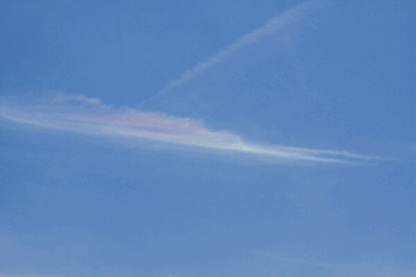 環水平アークにハロ。今日は虹色の空びより&#127752;_a0226258_11212343.gif