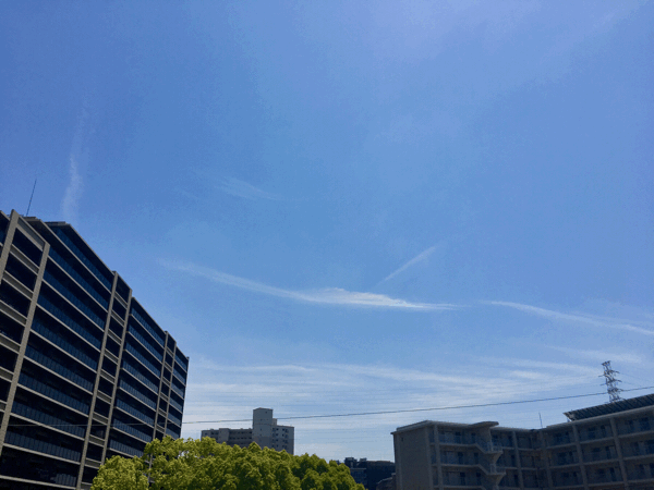 a0226258_11221113.gif