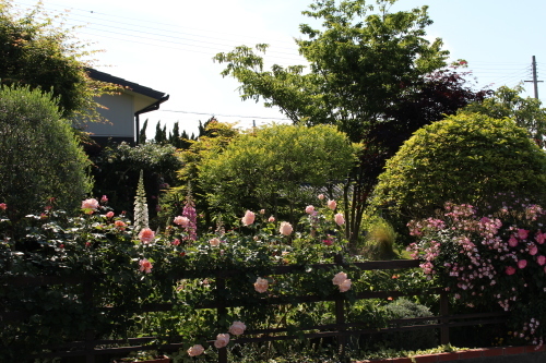 雨の前に_b0246758_20185192.jpg