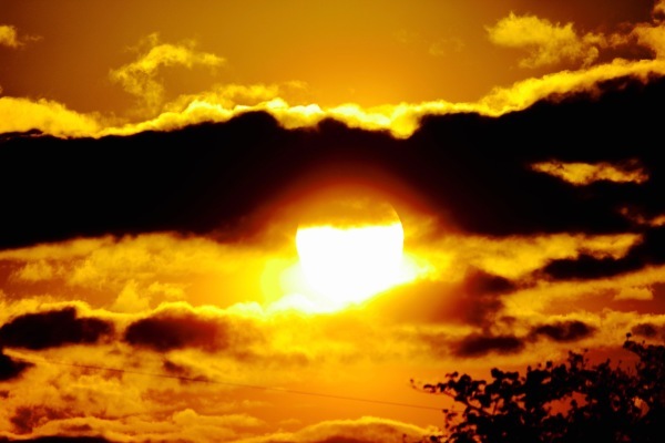 a0248459_15205053.jpg