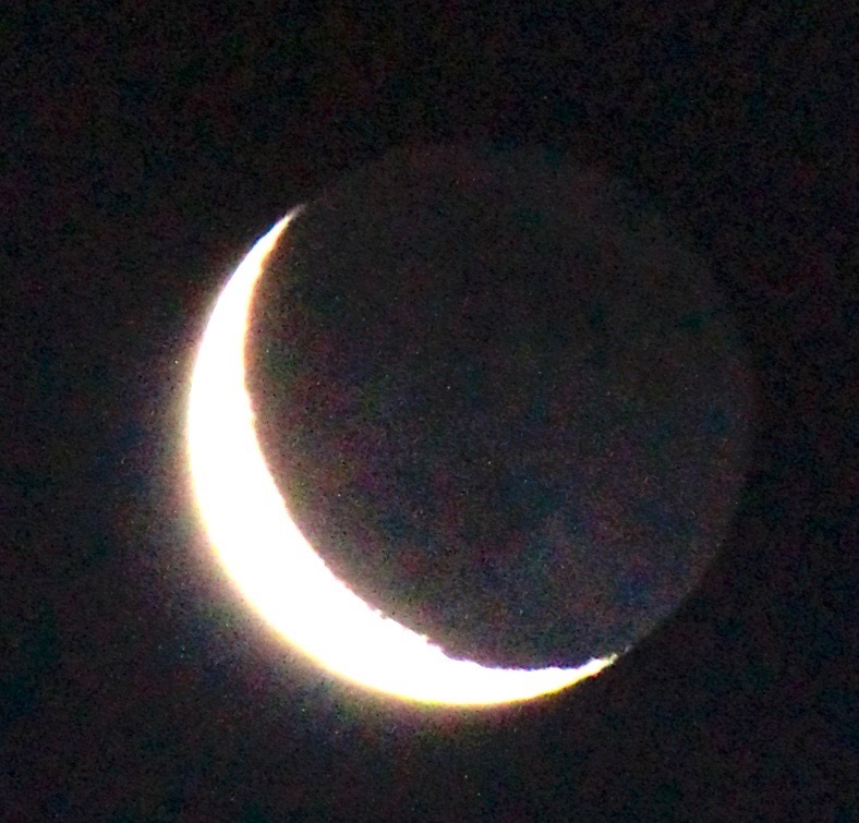 a0248459_15211704.jpg