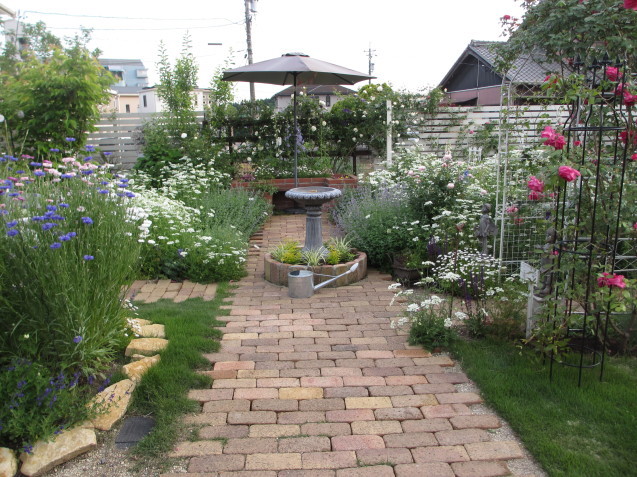 a0243064_15350170.jpg