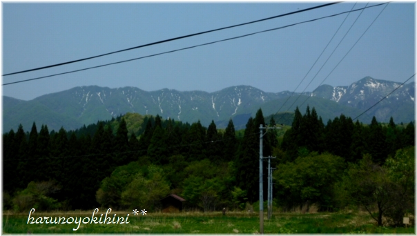 d0337265_18214140.jpg