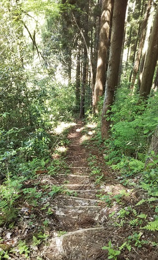 f0230777_22211882.jpg