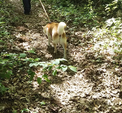 f0230777_22212693.jpg