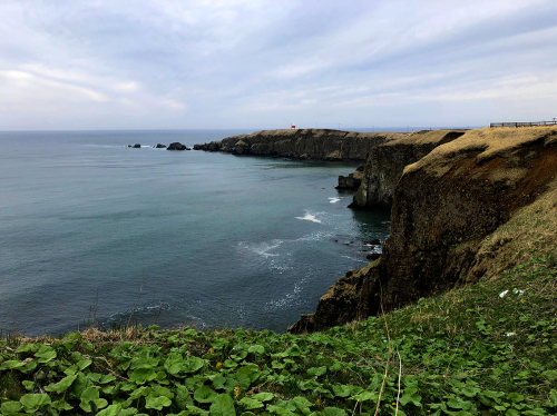 b0321680_21095854.jpg