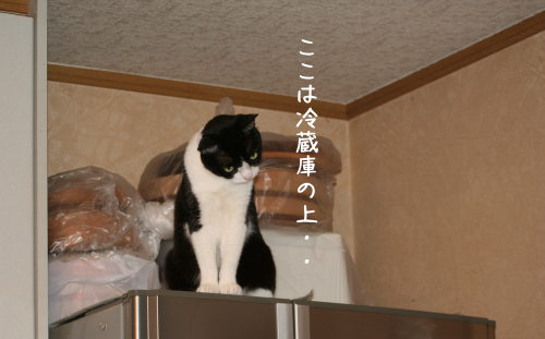 a0216583_23532601.png