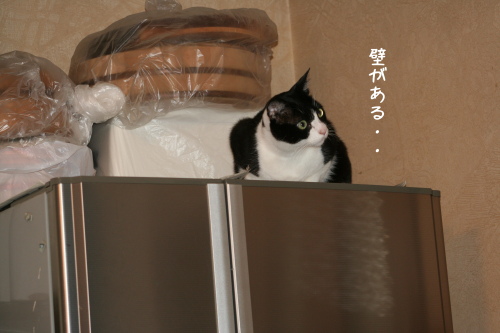 a0216583_23535027.png