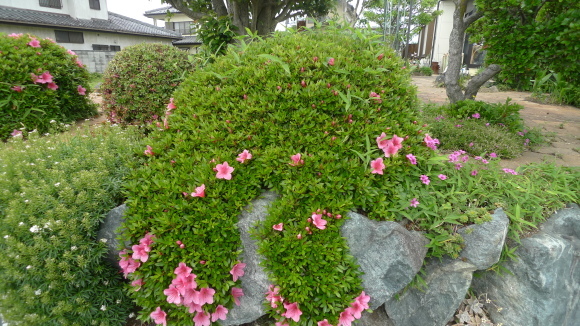 c0212083_17200319.jpg