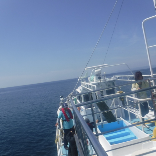 d0174683_13100569.jpeg
