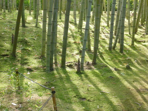 d0159384_00025413.jpg