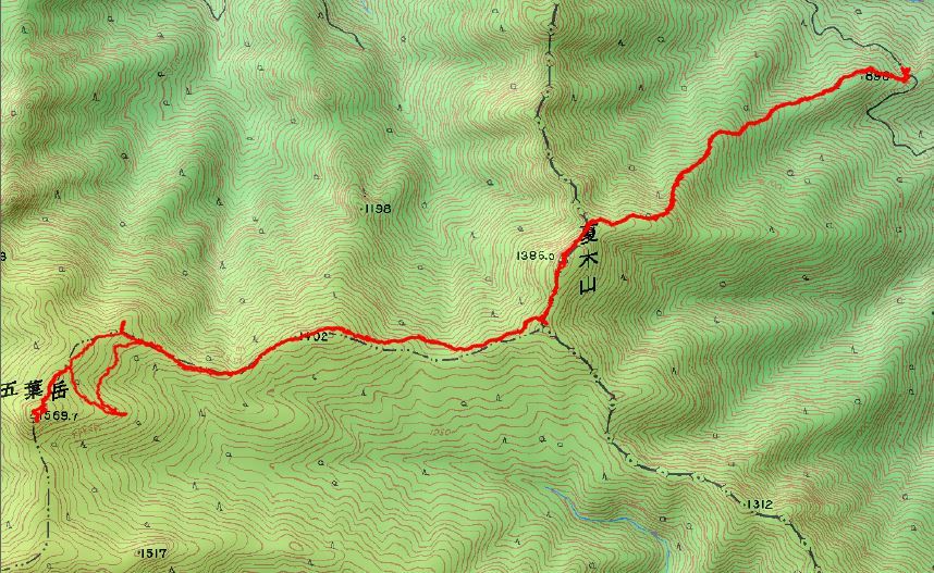 夏木山「新道登山口から」、五葉岳のピストン、11日_f0357487_23332191.jpeg