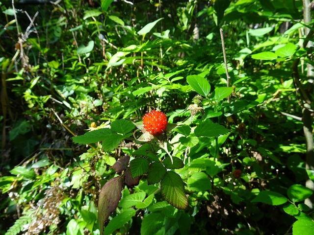 b0287088_18130633.jpg