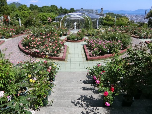 久しぶりの植物園～（*^_^*）_d0165488_20335360.jpg