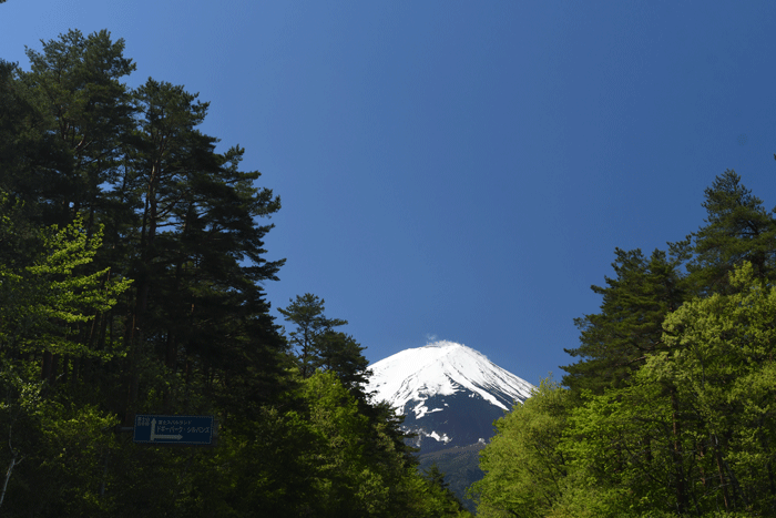 皐月晴　＜富士山＞_e0248688_18165952.gif