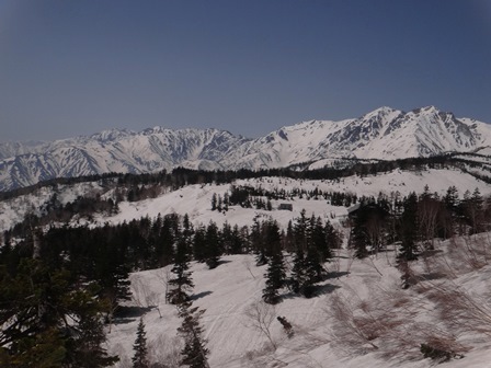 c0018489_22355556.jpg