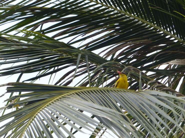 c0324393_17402374.jpg