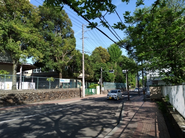 もう初夏の気配の広瀬川_f0100593_14260946.jpg