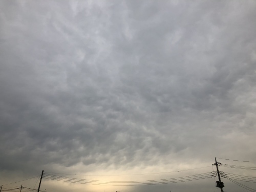 f0215094_17565275.jpeg