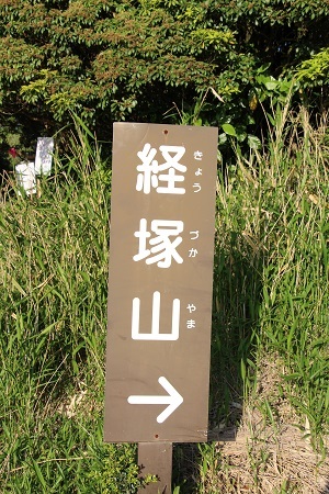 ミヤマキリシマ_a0333195_23111851.jpg