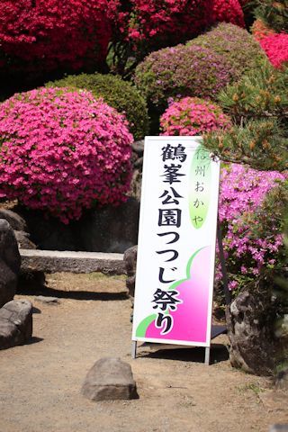 鶴峯公園のつつじ祭り♪_c0090198_20324221.jpg