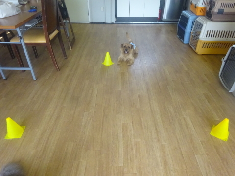 a0338800_08343050.jpg