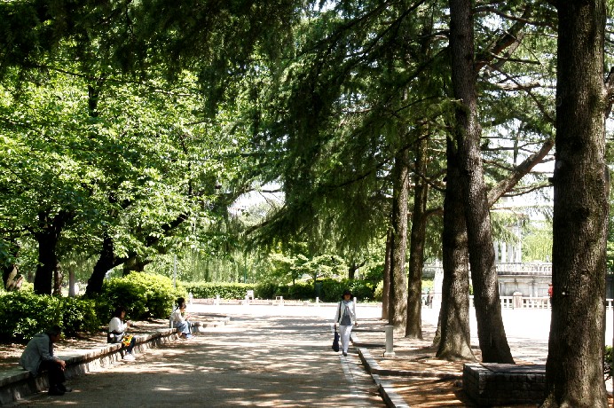 d0140806_10334994.jpg