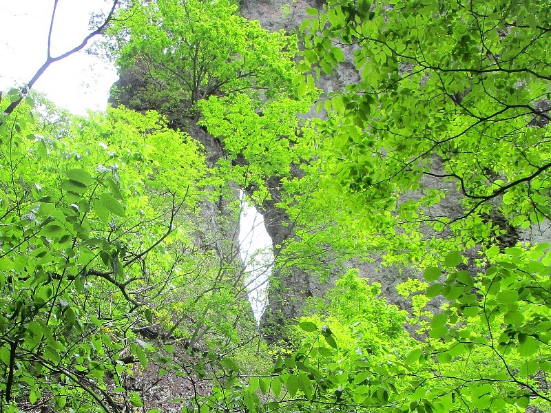 a0138609_10005256.jpg