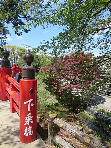 青森県は　弘前公園で桜を愛で～♪_f0060310_08035786.jpg