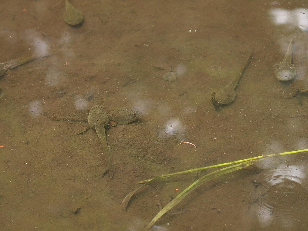 e0364711_20132305.jpg