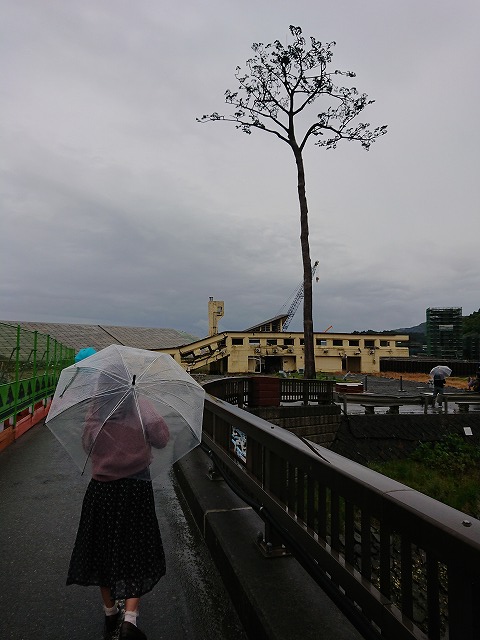 f0100911_1831348.jpg