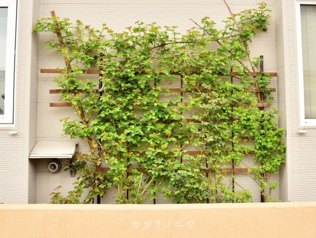 d0380314_16391158.jpg