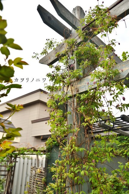 d0380314_16394481.jpg