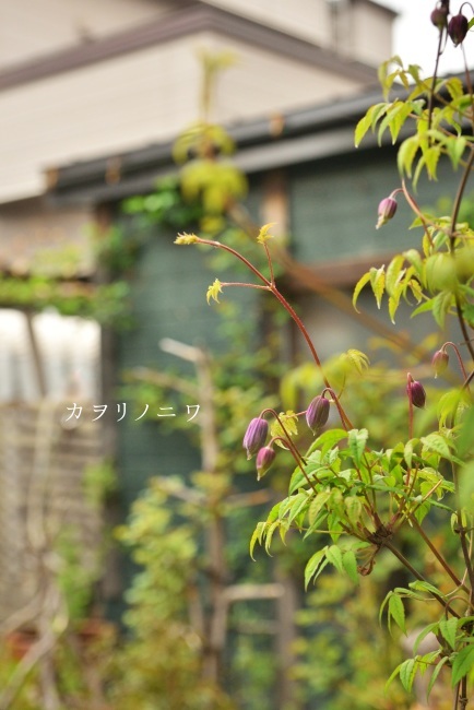 d0380314_16394891.jpg
