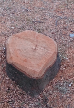 f0354314_22405288.png