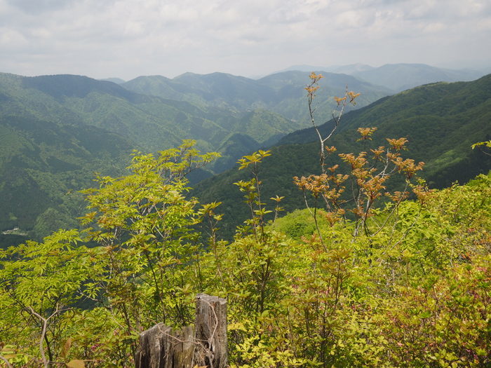 c0116915_00575609.jpg