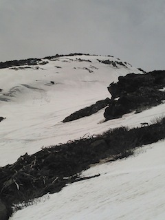 c0359615_10533018.jpg
