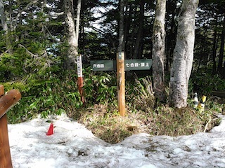 c0359615_10542870.jpg