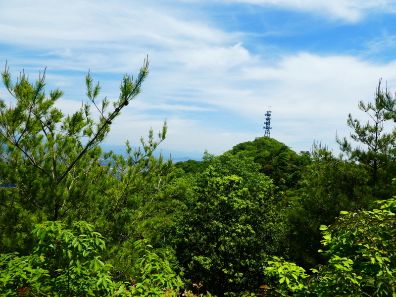 タケノコ祭り　明王山 (380M)_d0170615_08064103.jpg