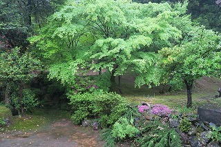 e0081218_14295046.jpg