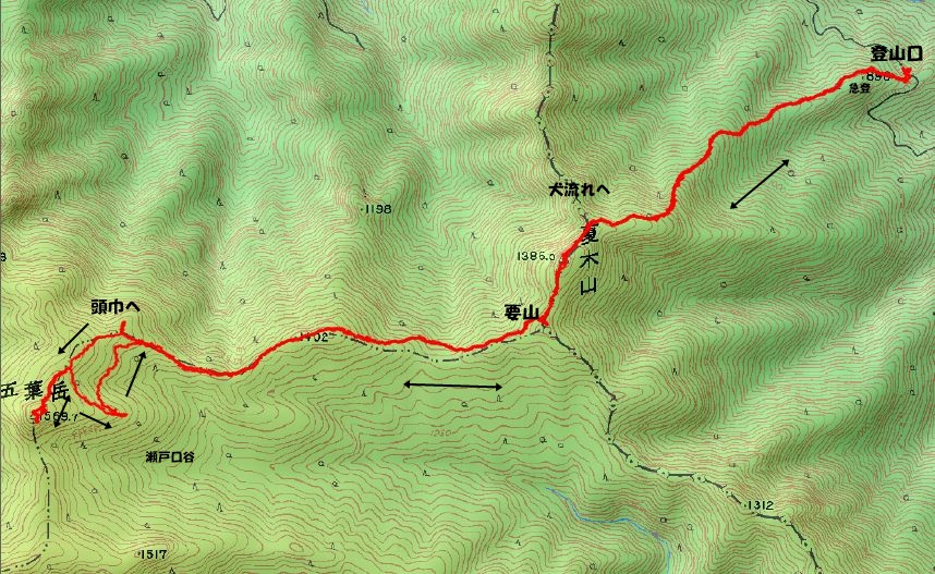 f0193521_15554076.jpg