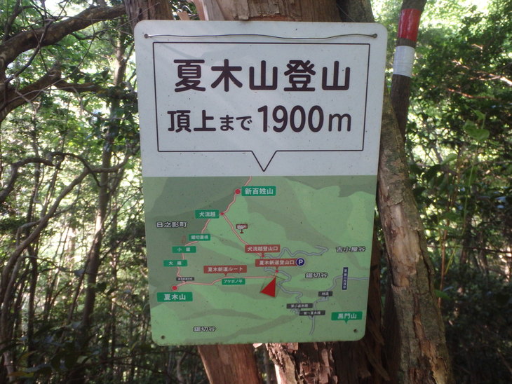 f0193521_16104148.jpg