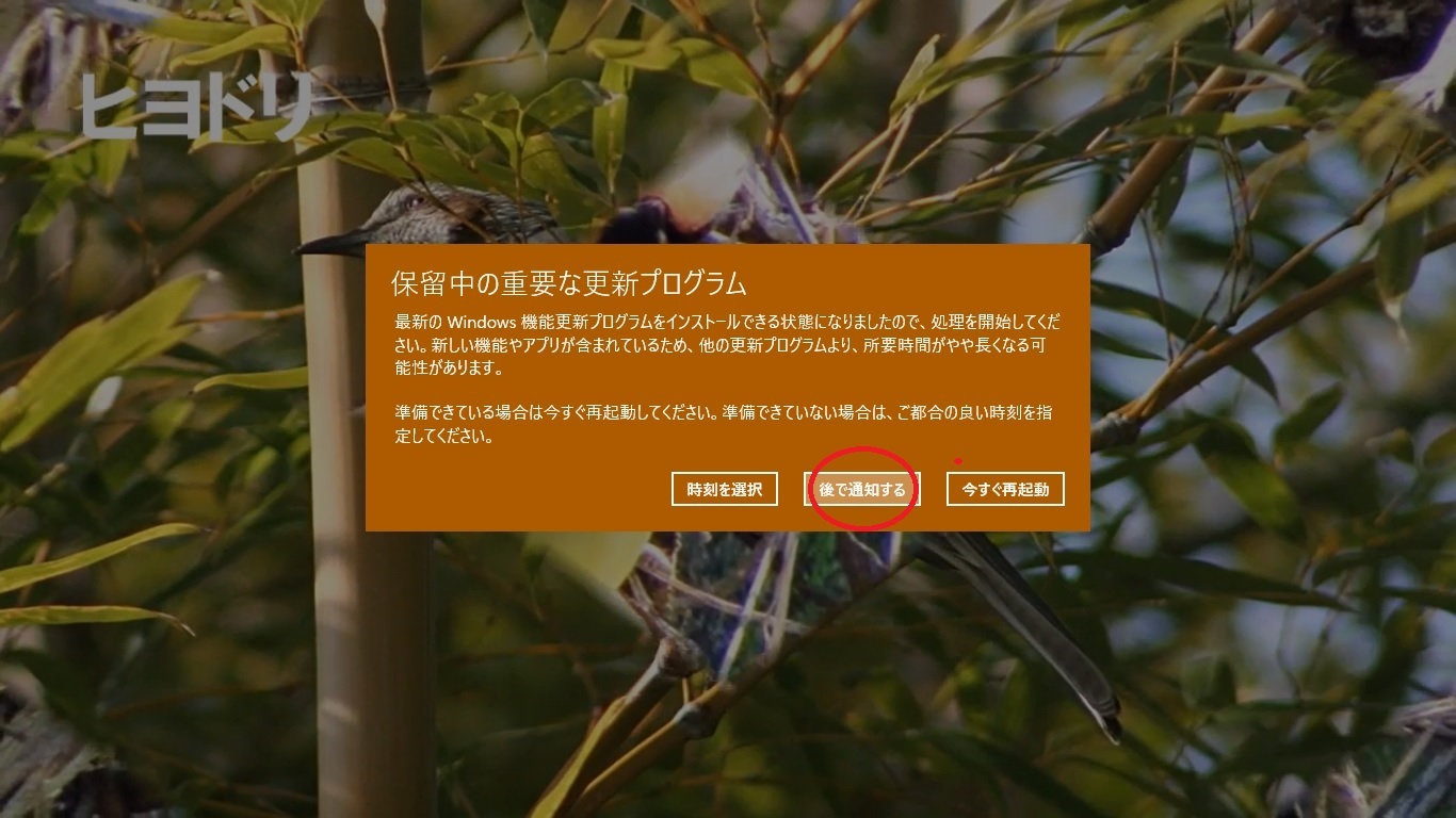 Windows 10 大型アップデートの通知が来た！（その２）_d0181824_10402232.jpg