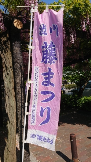 渋川 藤まつり J Pandaの日記 渋川 藤まつり J Pandaの日記