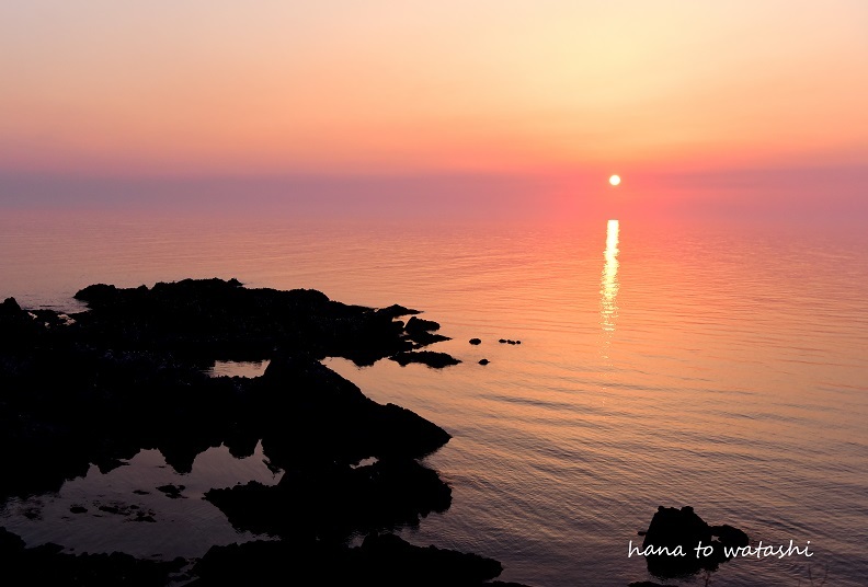 澄海岬からの夕陽 礼文島 ハナとわたし