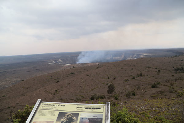 c0024729_16452014.jpg